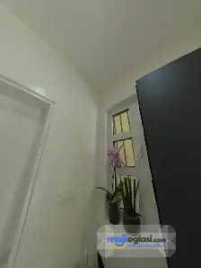 Beauty House Queen