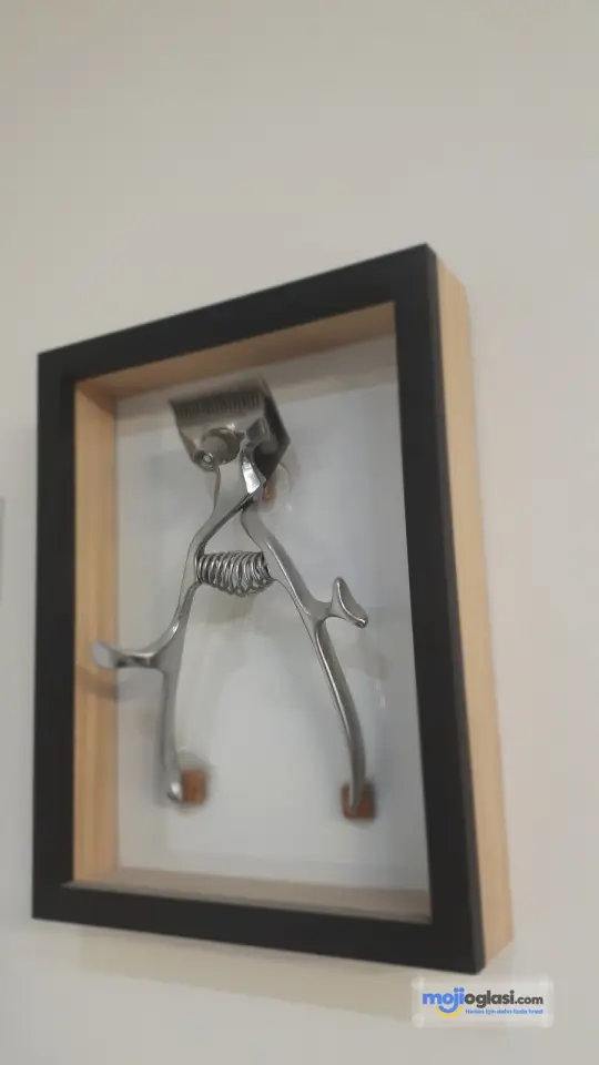 Đole